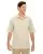 36303.webp