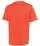 365205.webp