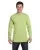 36981.webp