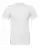 37018_f_fl.webp