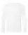 37262_f_fl.webp