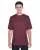 37335.webp