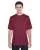 37341.webp