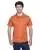37487.webp