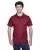 37497.webp