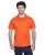 37498.webp