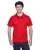 37500.webp