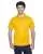 37504.webp