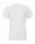 39937_f_fl.webp