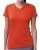 4028.webp