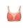 403503.webp