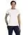 4042.webp