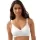 404261.webp
