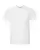 40452_f_fl.webp