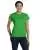 4046.webp