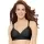 405445.webp