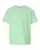 40547_f_fl.webp