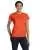 4055.webp