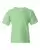 40569_f_fl.webp