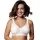 411721.webp