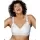413336.webp