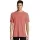 413516.webp