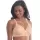 417519.webp