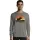 421799.webp