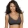 421911.webp