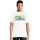 422933.webp