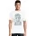 422938.webp