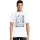 423046.webp