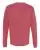 42404_f_fl.webp