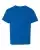42453_f_fl.webp