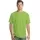 427102.webp