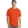 427132.webp