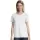 427578.webp
