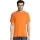 430706.webp