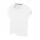 431619.webp