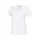 431711.webp