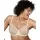 433447.webp