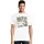 444526.webp