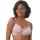 445424.webp