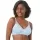 445443.webp