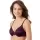 445554.webp