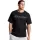 445798.webp