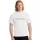 445813.webp