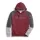 446462.webp