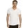 447148.webp