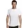 447516.webp